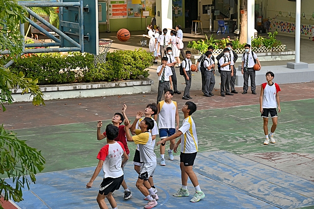 DSG 5786
