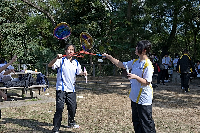 DSG 8554