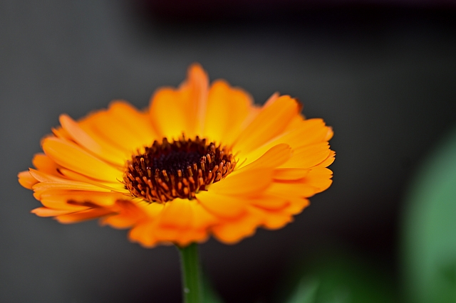 20240112-DSC 6777