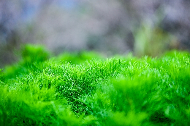20240112-DSC 6795