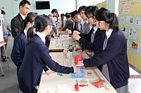 IMG 4536