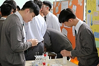 IMG 4542