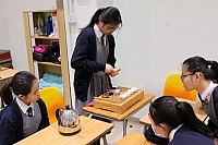 IMG 5246