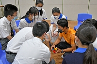 DSG 3493