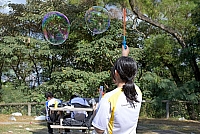 DSG 8543