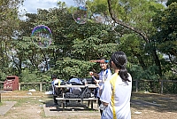 DSG 8544