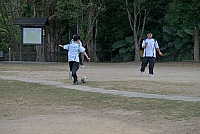 DSG 8592