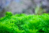 20240112-DSC 6795