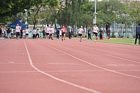DSC 4496